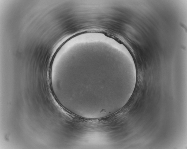 X0000102410959200808291505