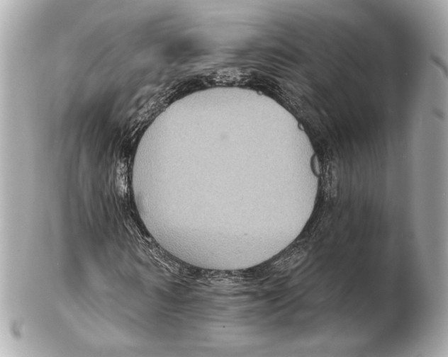 X0000102410962200808291504