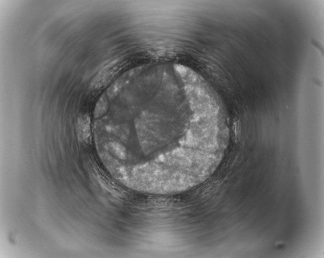 X0000102410963200808291504