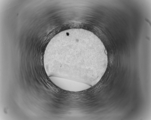 X0000102410964200808291504