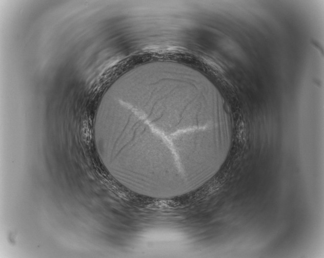 X0000102410966200808291504