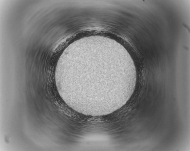 X0000102410967200808291504