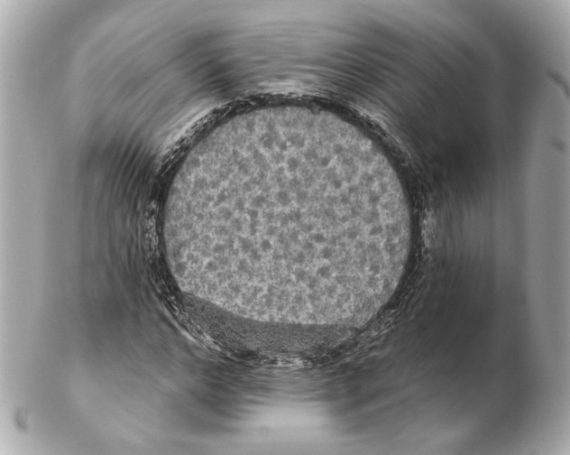 X0000102410968200808291504