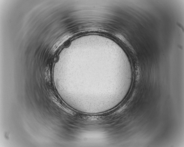 X0000102410969200808291504