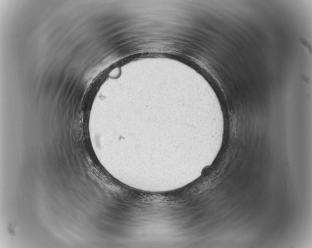 X0000102410971200808291504