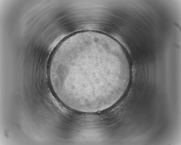 X0000102410972200808291504