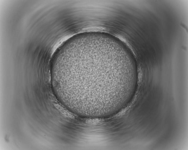 X0000102410973200808291504