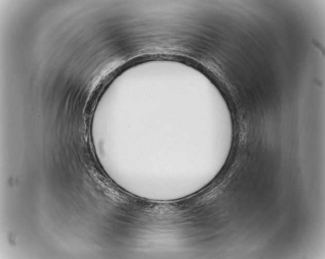 X0000102410974200808291504