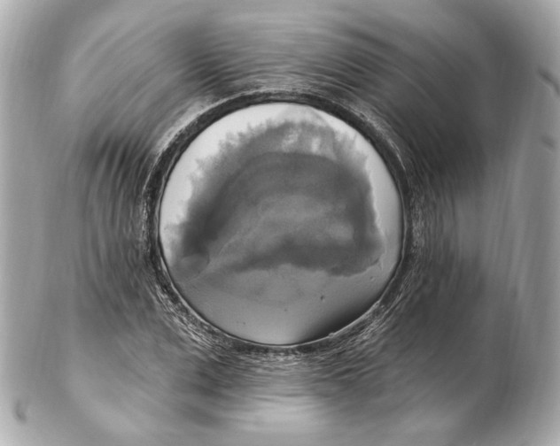 X0000102410975200808291504