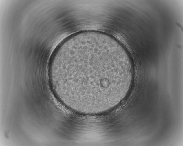 X0000102410976200808291504