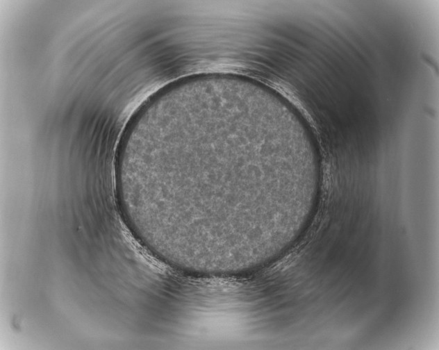 X0000102410980200808291504