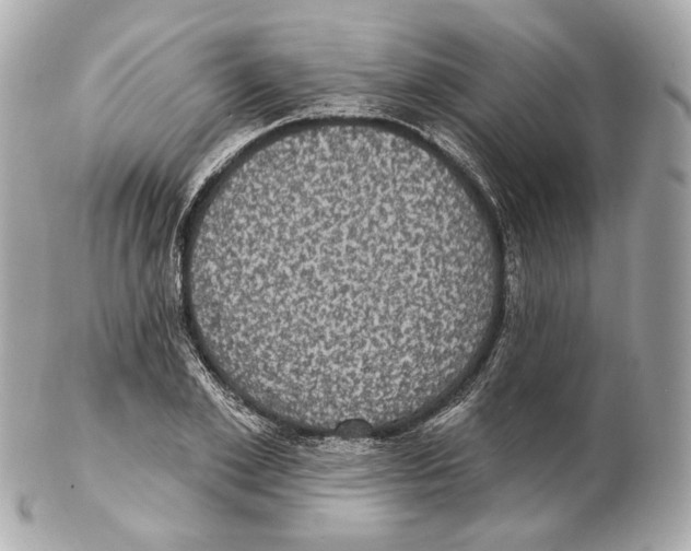 X0000102410981200808291504