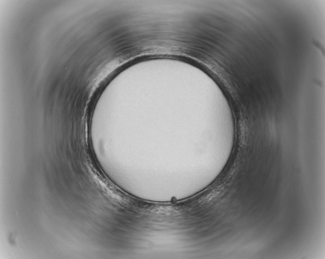 X0000102410982200808291504