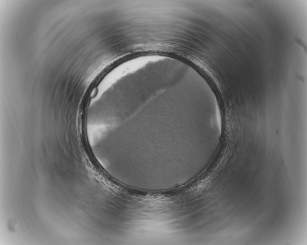 X0000102410983200808291504