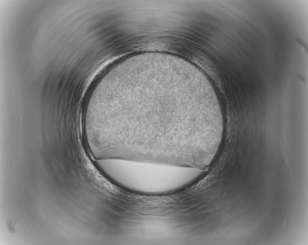 X0000102410984200808291504