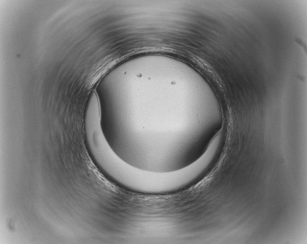 X0000102410985200808291504