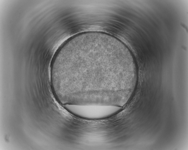 X0000102410988200808291504