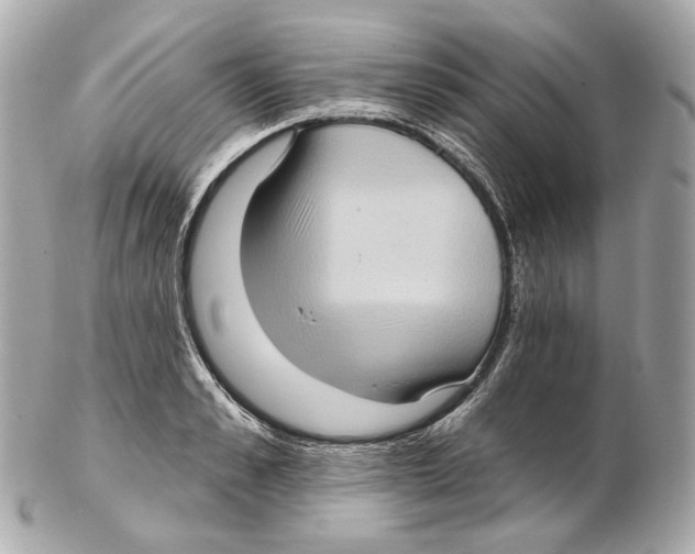 X0000102410989200808291504