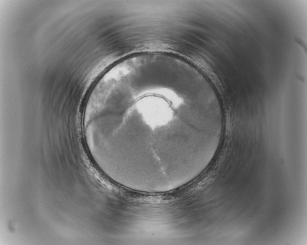 X0000102410990200808291504