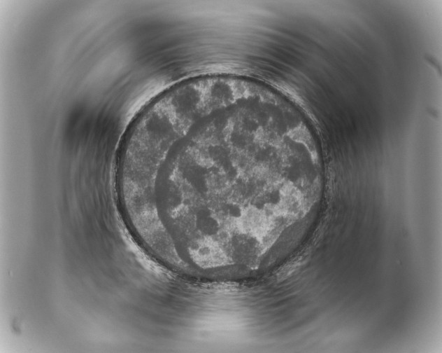 X0000102410991200808291504