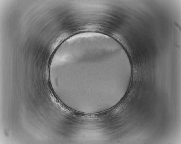 X0000102410994200808291503