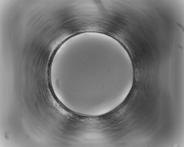 X0000102410995200808291503