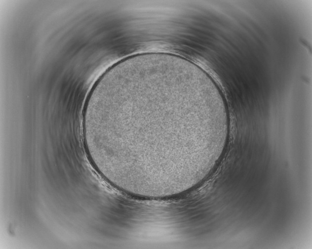 X0000102410996200808291503