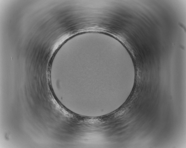 X0000102410998200808291503