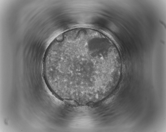 X0000102410999200808291503