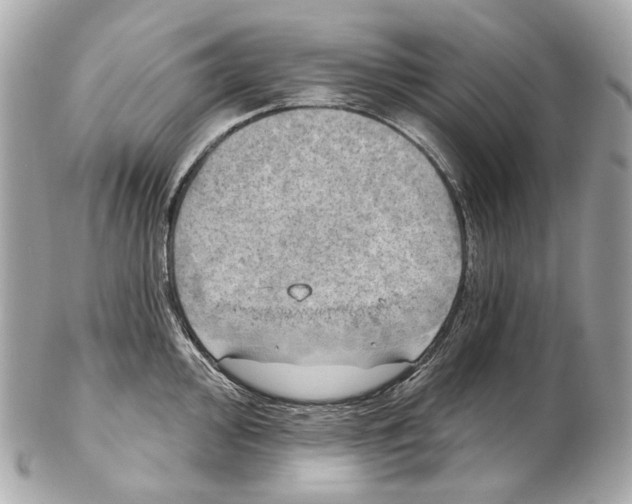 X0000102411000200808291503