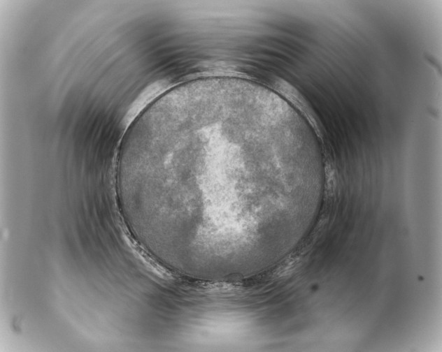 X0000102411002200808291503