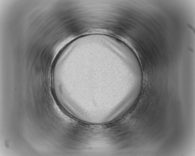 X0000102411003200808291503