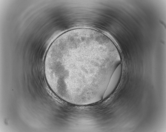 X0000102411004200808291503