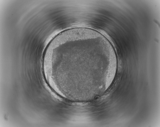 X0000102411005200808291503