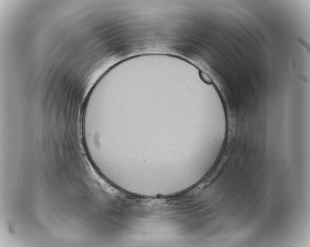 X0000102411006200808291503