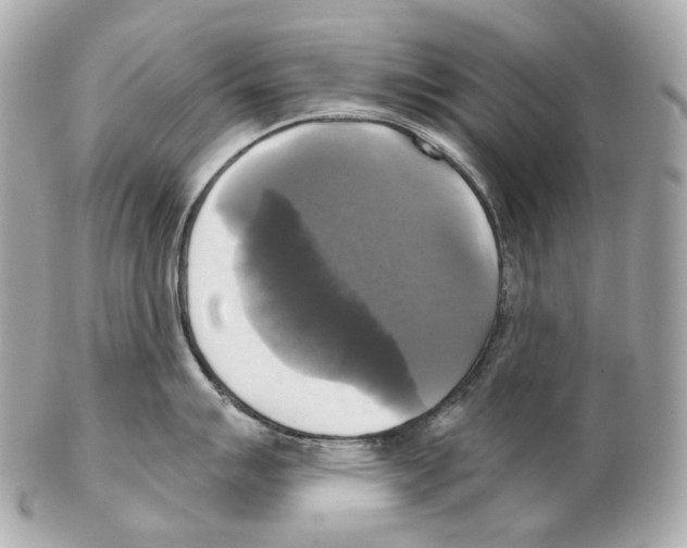 X0000102411007200808291503