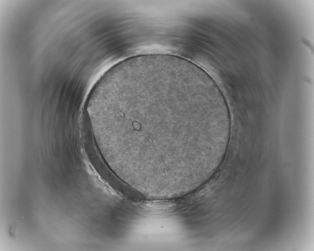 X0000102411008200808291503