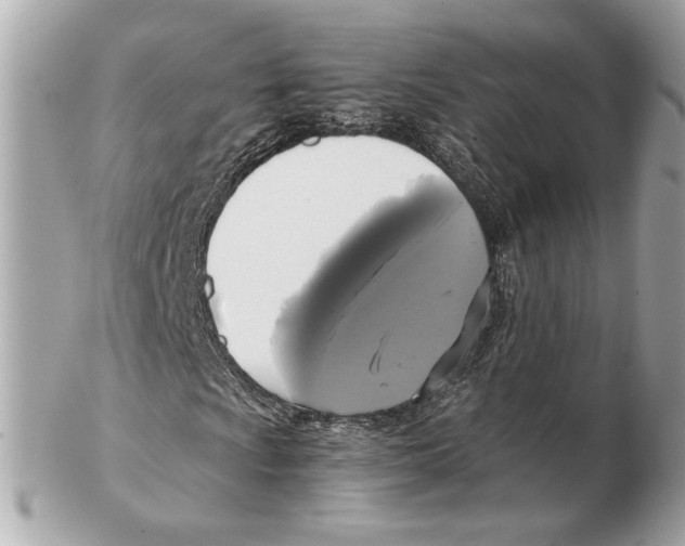 X0000102411009200808291503