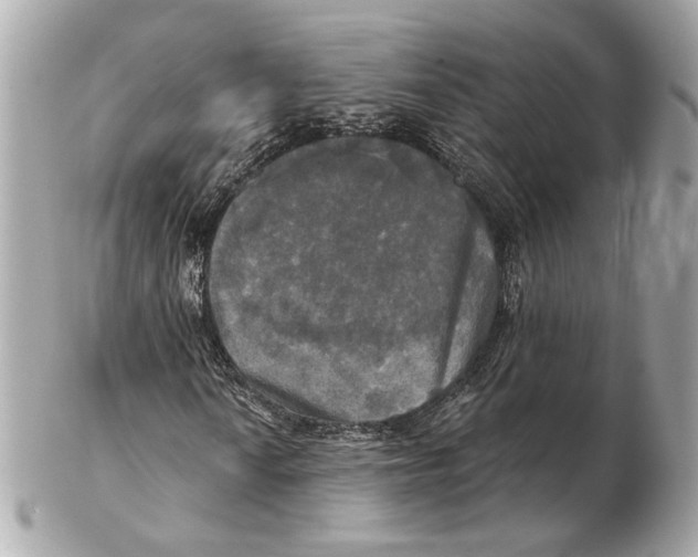 X0000102411010200808291503