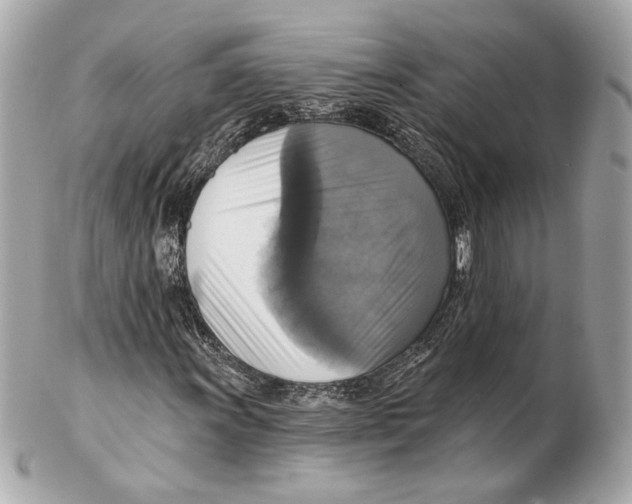 X0000102411011200808291503