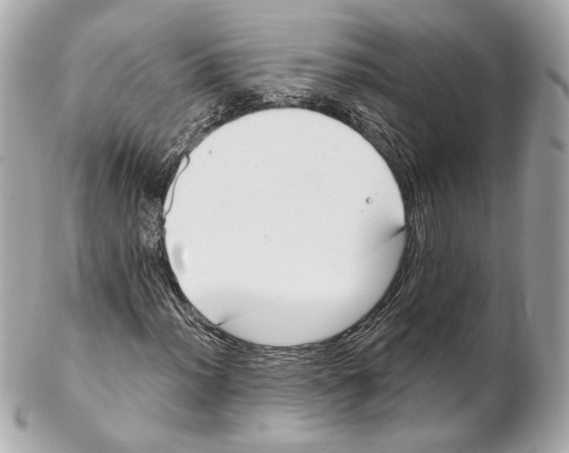 X0000102411012200808291503