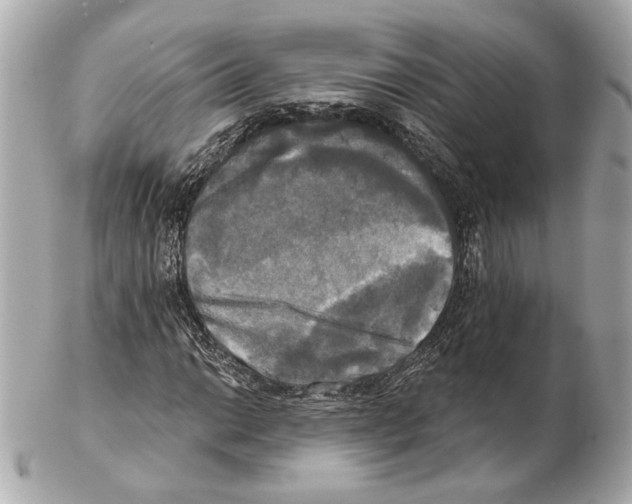 X0000102411014200808291503