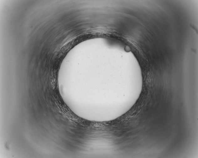 X0000102411015200808291503