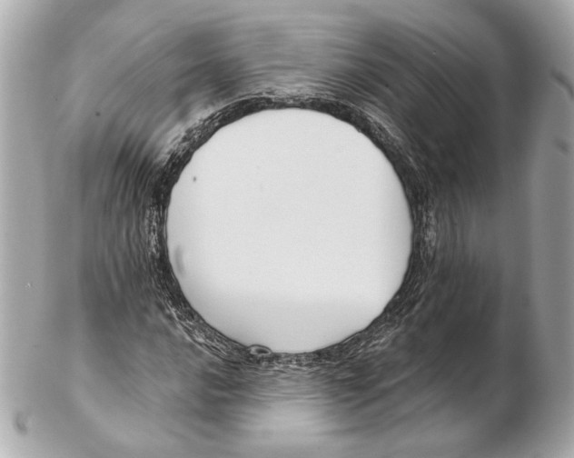 X0000102411016200808291503