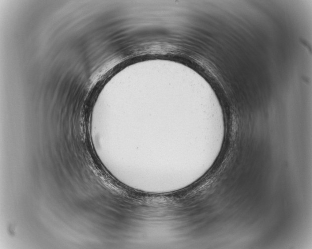 X0000102411018200808291503