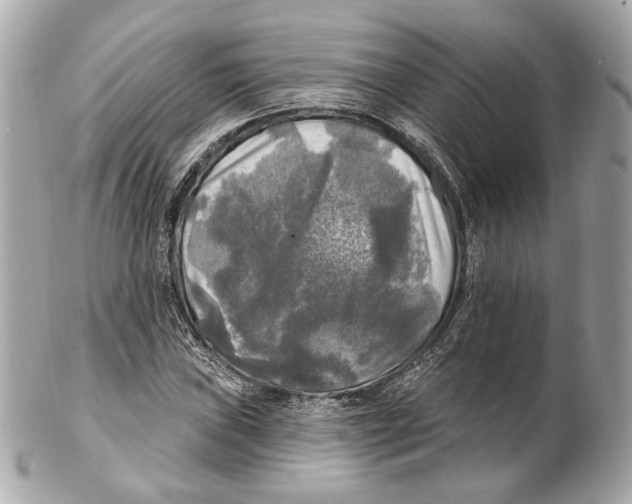 X0000102411019200808291503