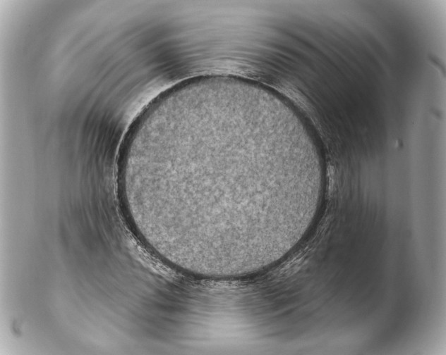 X0000102411020200808291503