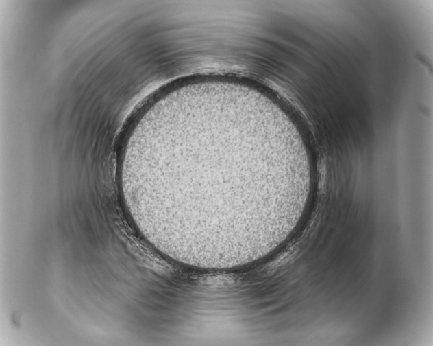 X0000102411021200808291503