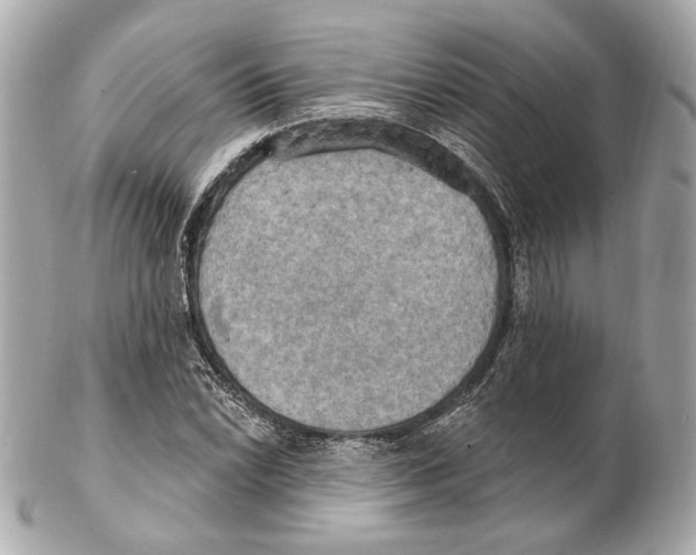 X0000102411022200808291503