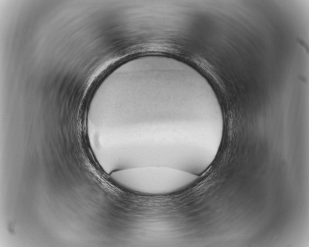 X0000102411024200808291503